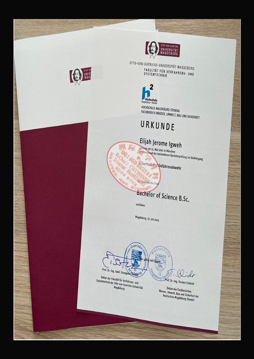 马格德堡大学毕业证样本