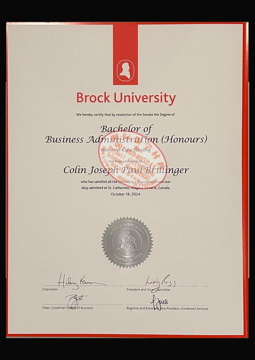 布鲁克大学毕业证与成绩单