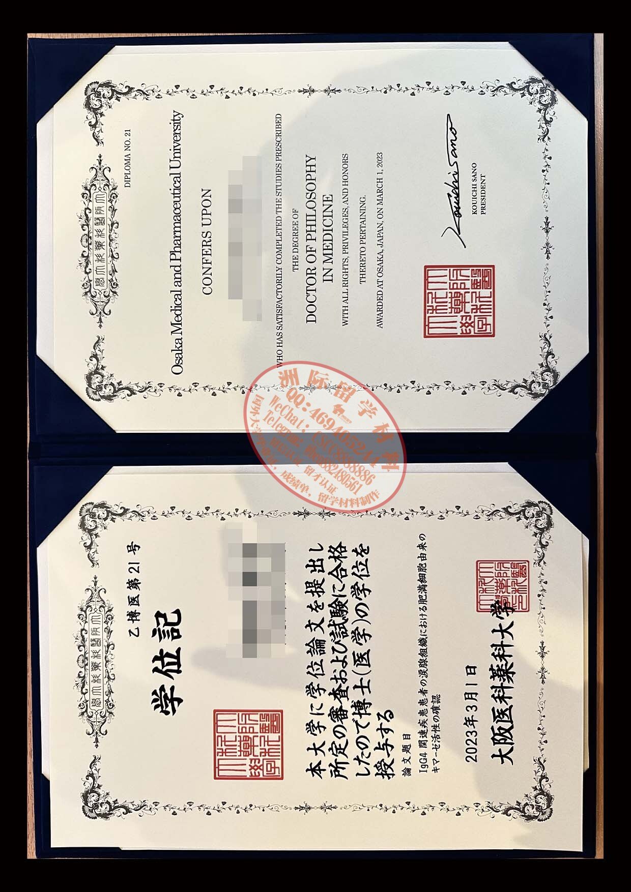 大阪医科薬科大学 学位記