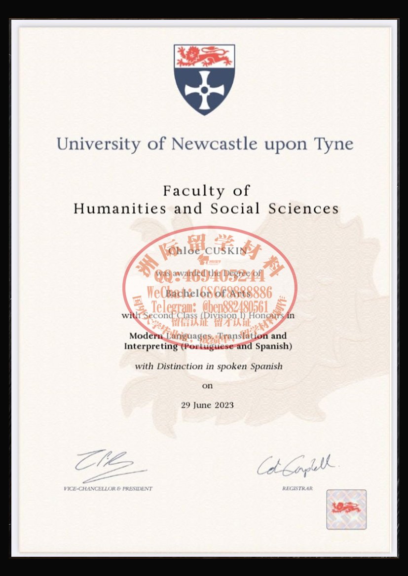 纽卡斯尔大学毕业证成绩单样本